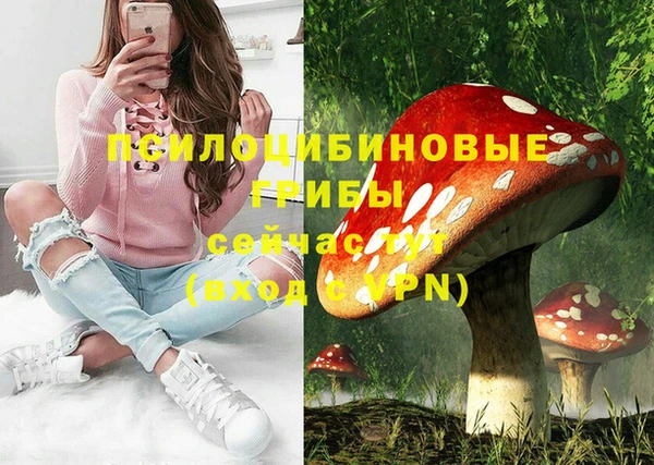 МДПВ Дмитровск