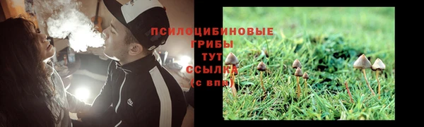 2c-b Дмитриев