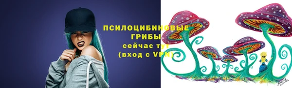 МДПВ Дмитровск