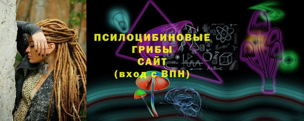 МДПВ Дмитровск