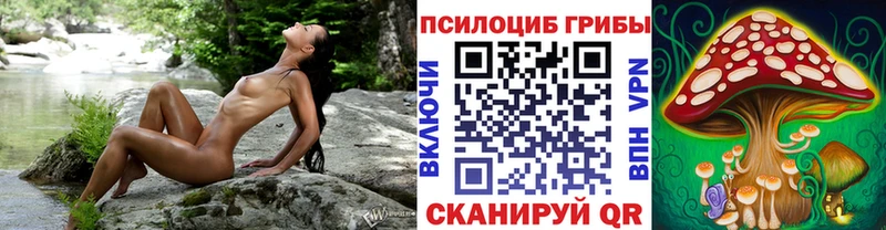 Галлюциногенные грибы GOLDEN TEACHER  Купить  Ковров 